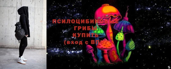 прущая мука Богданович