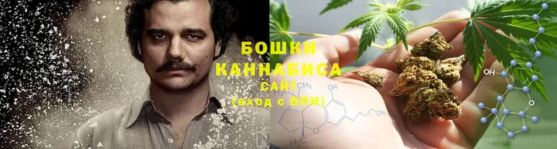 Бошки Шишки THC 21%  купить закладку  Волхов 